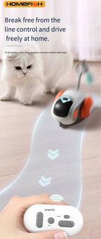 Smart Interactive Cat Chase Car