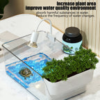 ClearView Turtle Habitat Tank