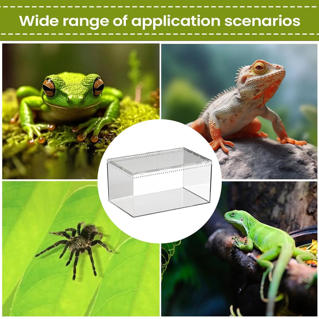 ClearView Reptile/spider Terrarium