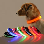 GlowSafe LED Dog Collar