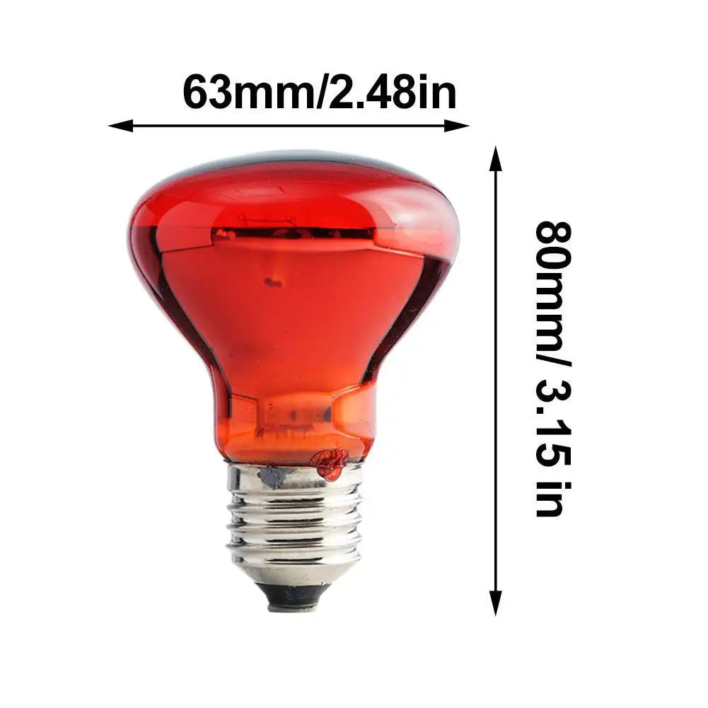 UVA Reptile Heat Lamp