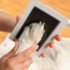 DIY Inkless Nose and Pawprint Impression Making Kit ( Premium Quality )