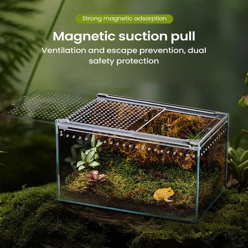 ClearView Reptile/spider Terrarium
