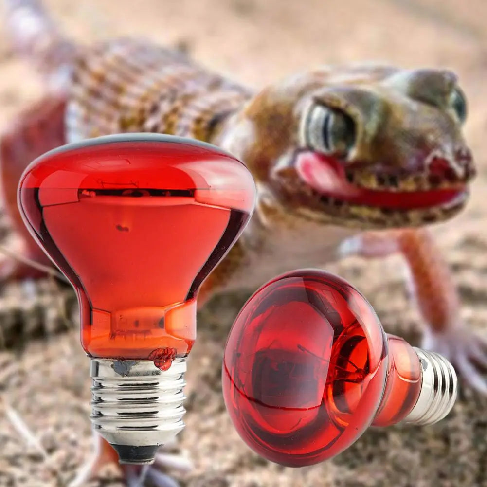 UVA Reptile Heat Lamp