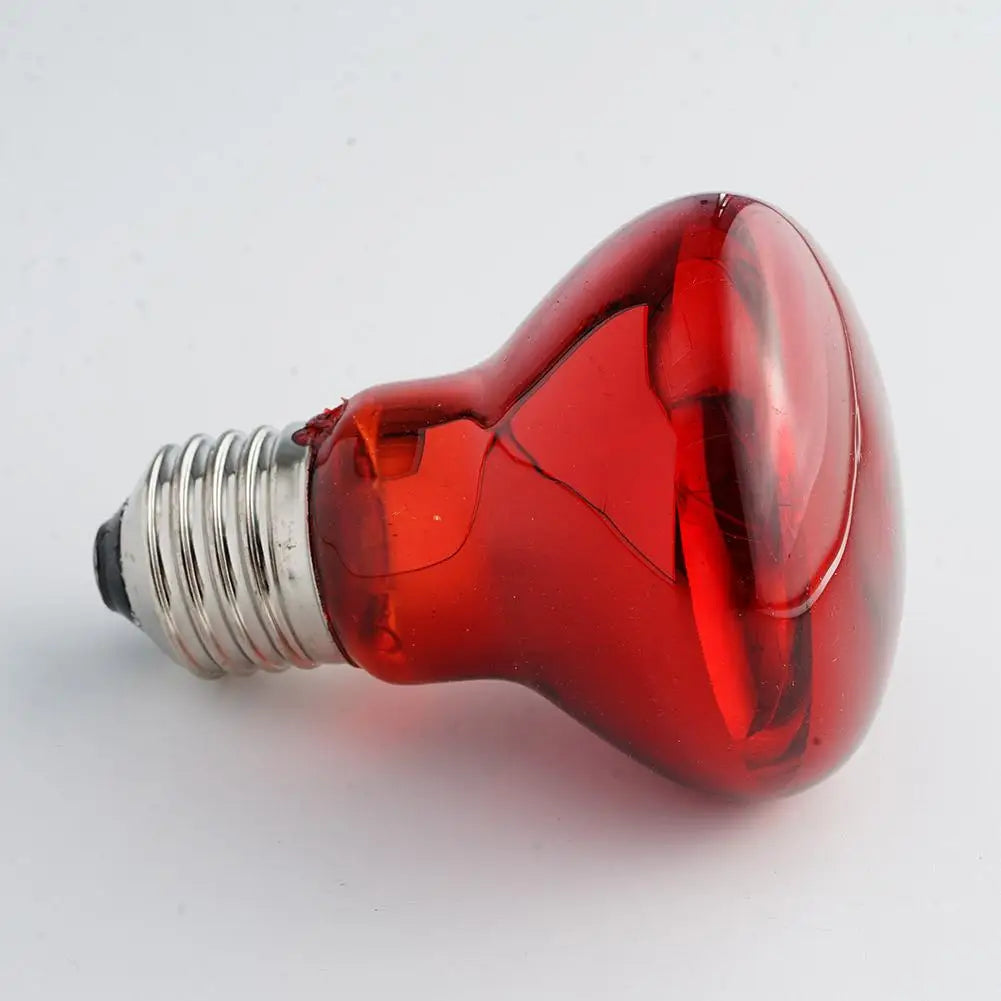 UVA Reptile Heat Lamp