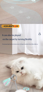 Smart Interactive Cat Chase Car
